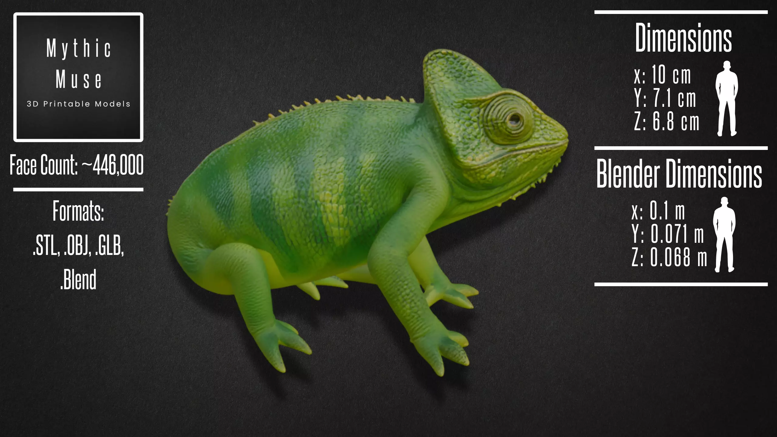 Realistic Chameleon Model 3D model_4