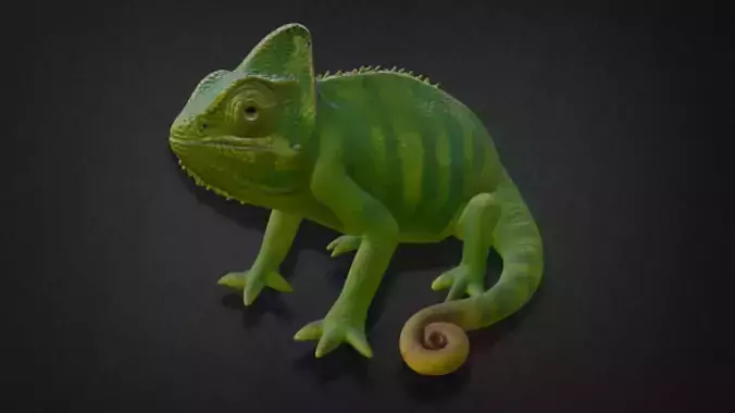 Realistic Chameleon Model 3D model