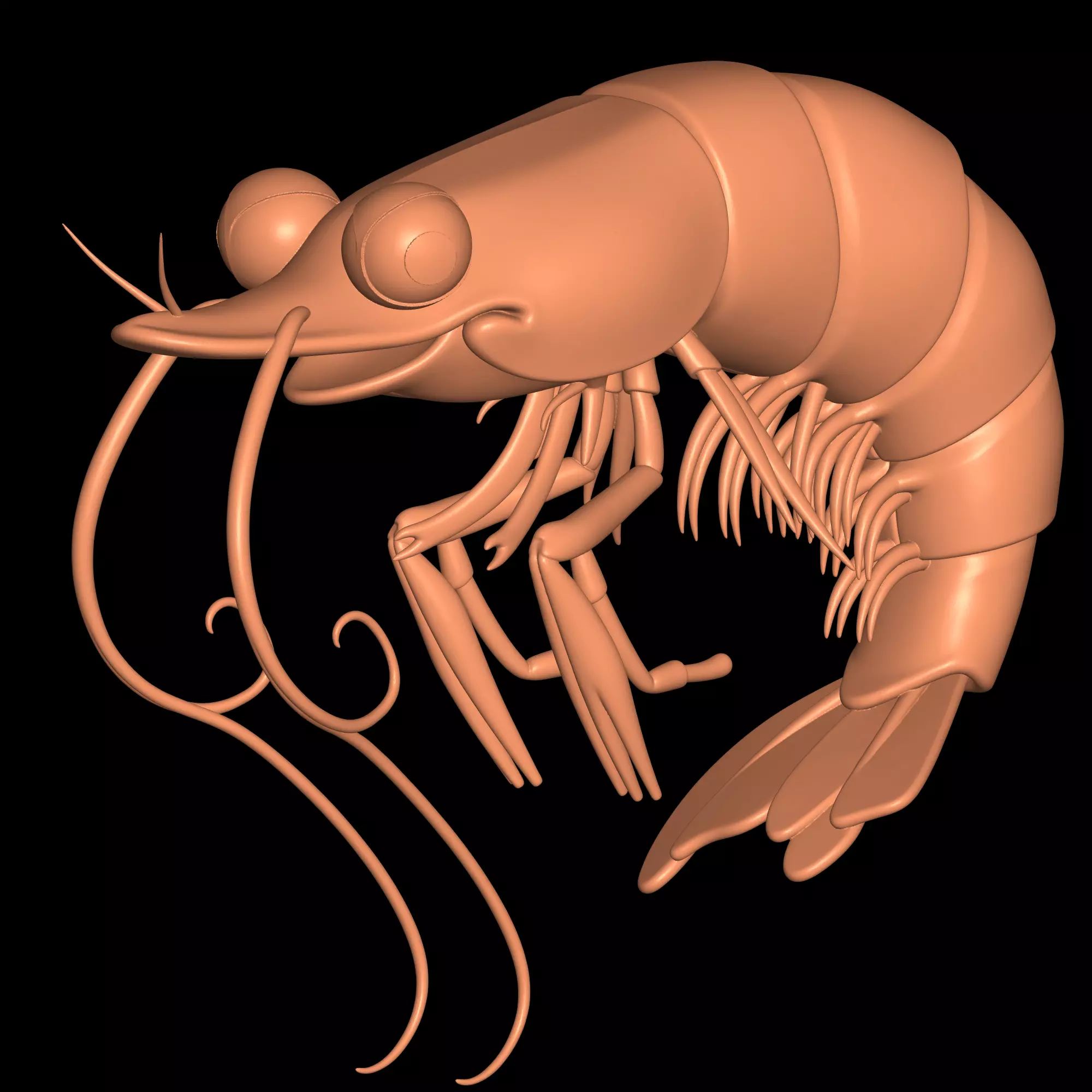 lobster 3D print model_0