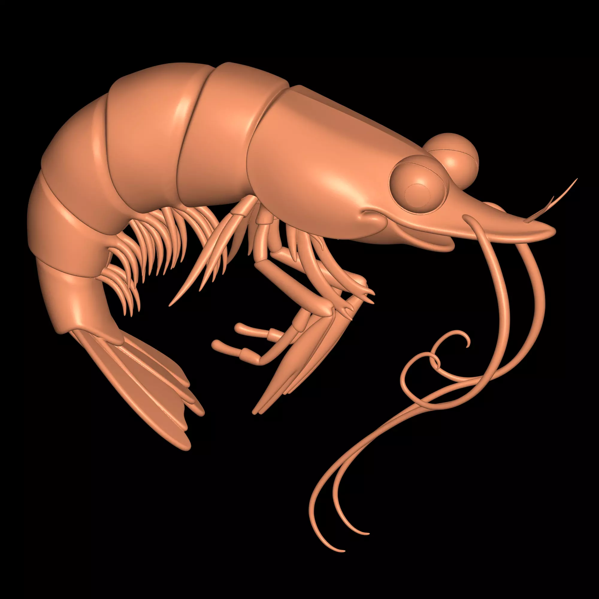 lobster 3D print model_2