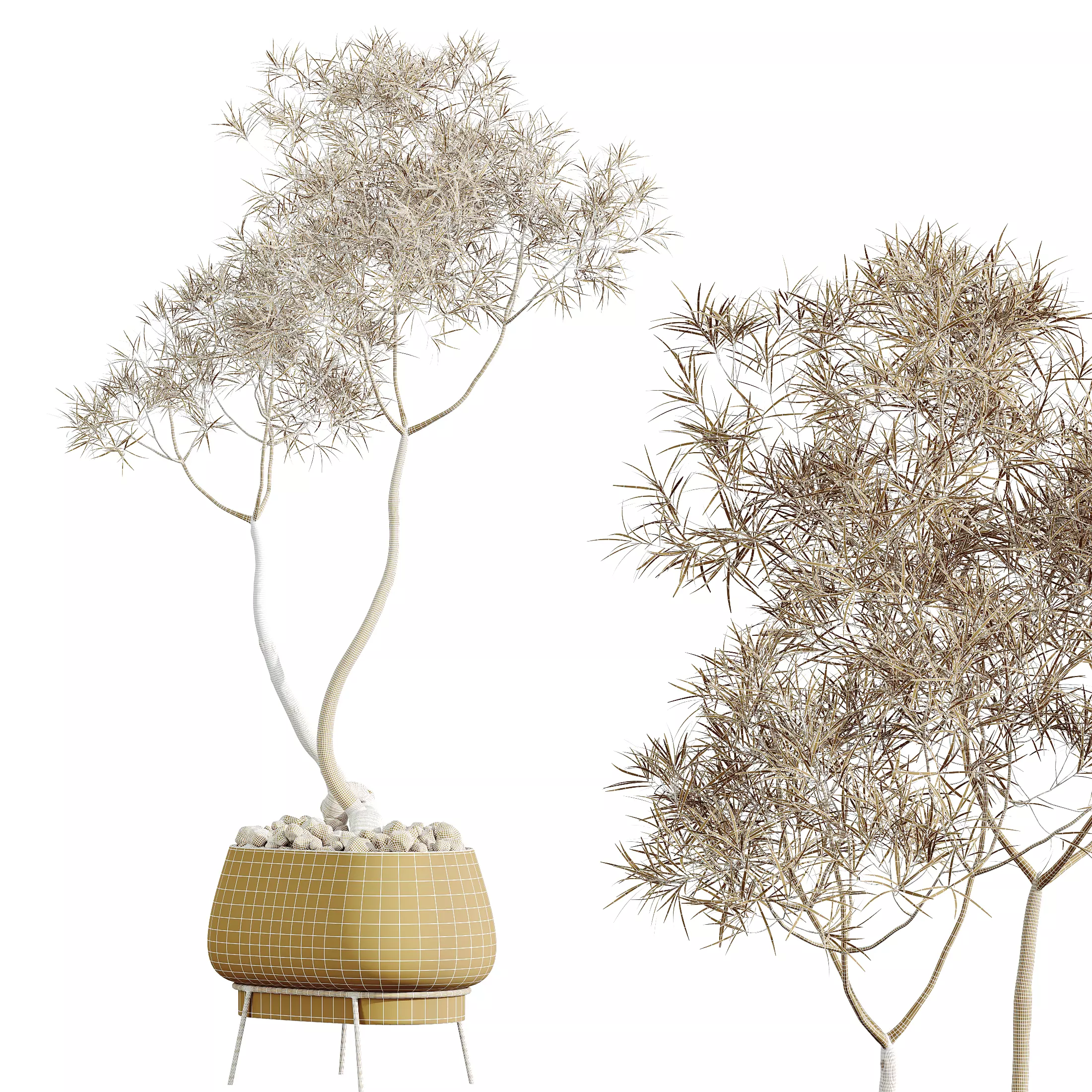 AV Indoor Plants Set 291Ficus Banana Yucca Palm 3D model_8