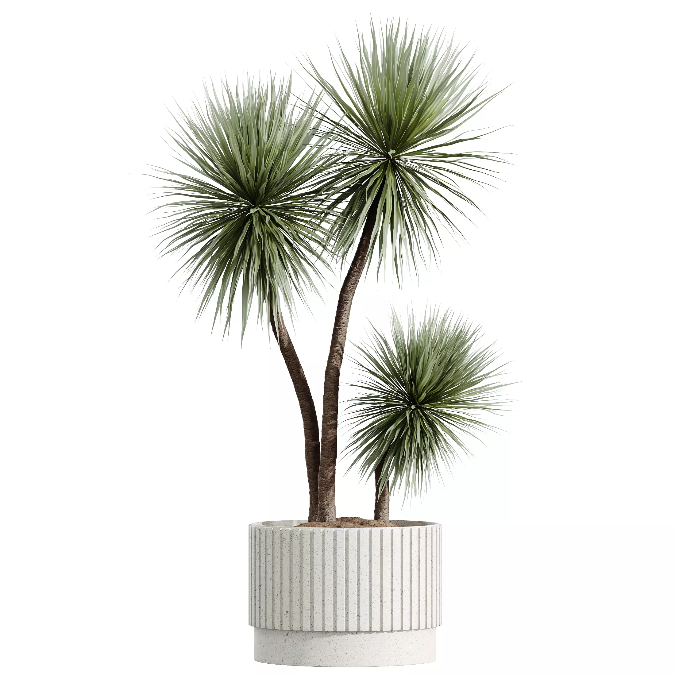 AV Indoor Plants Set 291Ficus Banana Yucca Palm 3D model_3