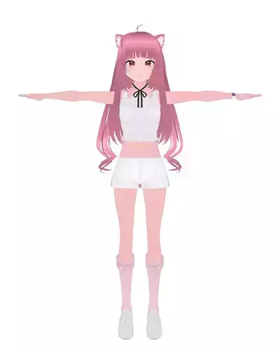Anime CAT girl Character - Stylized Blender Rigged 3D model