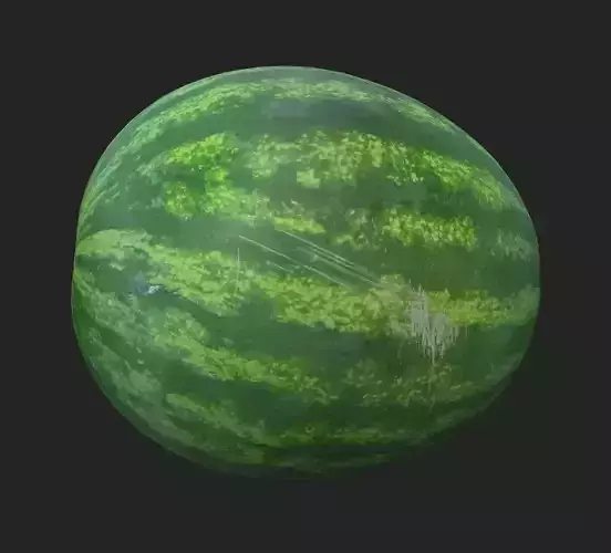 Realistic Scanned Watermelon