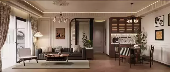 Livingroom and Kitchen