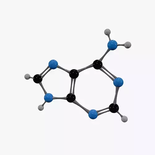 Adenine Molecule