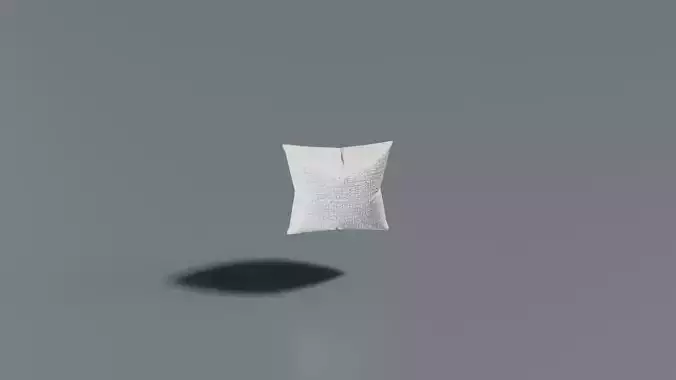Decorative Square Pillow