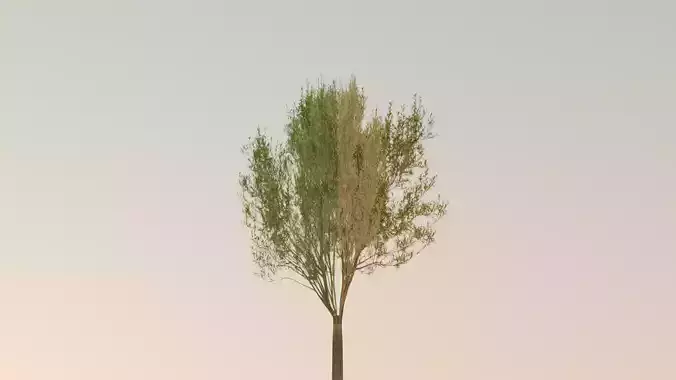 PSX PS1 Styled Low Poly 3D Model of a Tree Low-poly 3D model