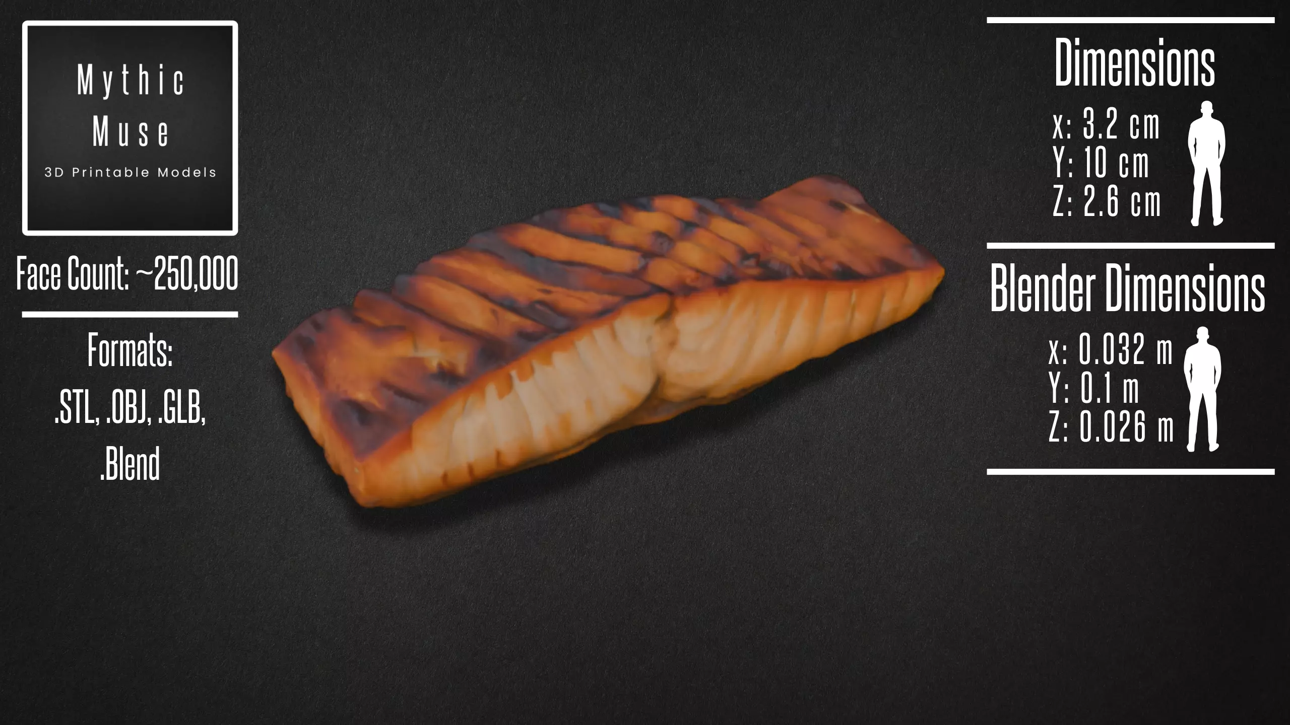 Realistic Grilled Salmon Fillet Model 3D model_1