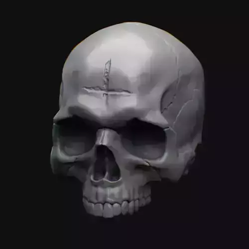 Ritual Skull 3D print model