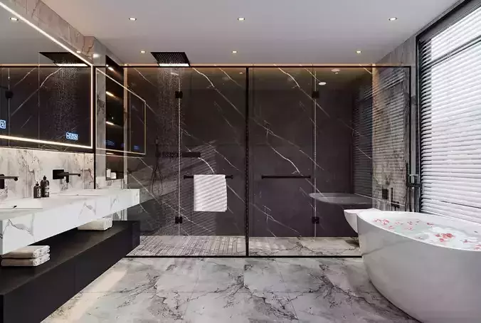 modern bathroom interior scenes  04