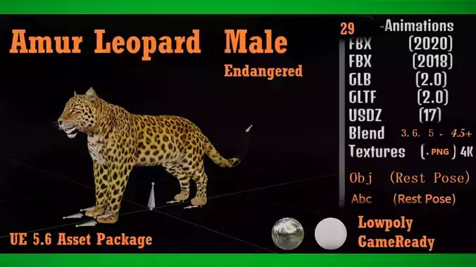 Amur Leopard Male Low-poly 3D model