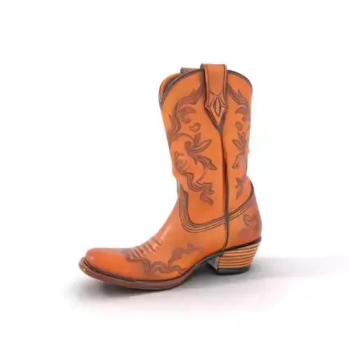 Western Cowboy Boot model pack  Leather Embroidery Design Low-poly 3D model