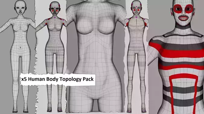 5x Human Body Topology Pack Low-poly 3D model
