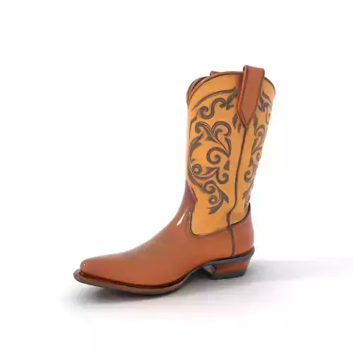 Western Cowboy Boot Model Pack with Embroidery Low-poly 3D model