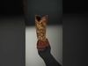 Western Cowboy Boot Model Pack with Embroidery Low-poly 3D model_2