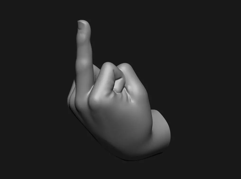 Middle Finger Printable Wall Art 3D print model_2
