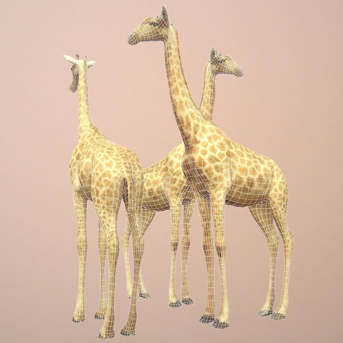 Giraffe Rigged Low-poly 3D model_7