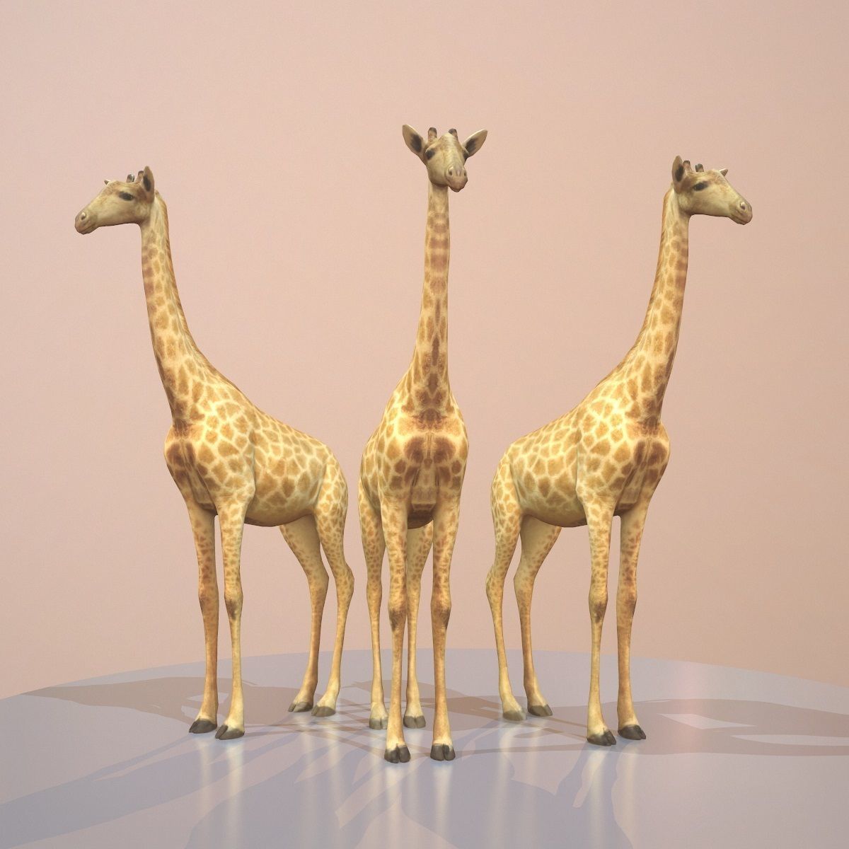 Giraffe Rigged Low-poly 3D model_8