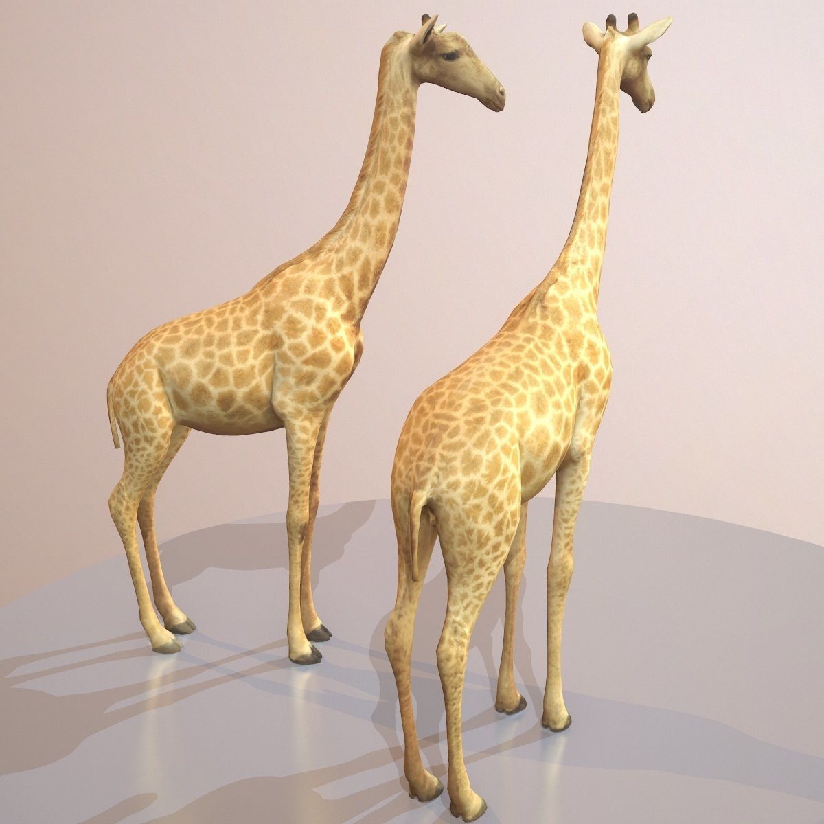 Giraffe Rigged Low-poly 3D model_3