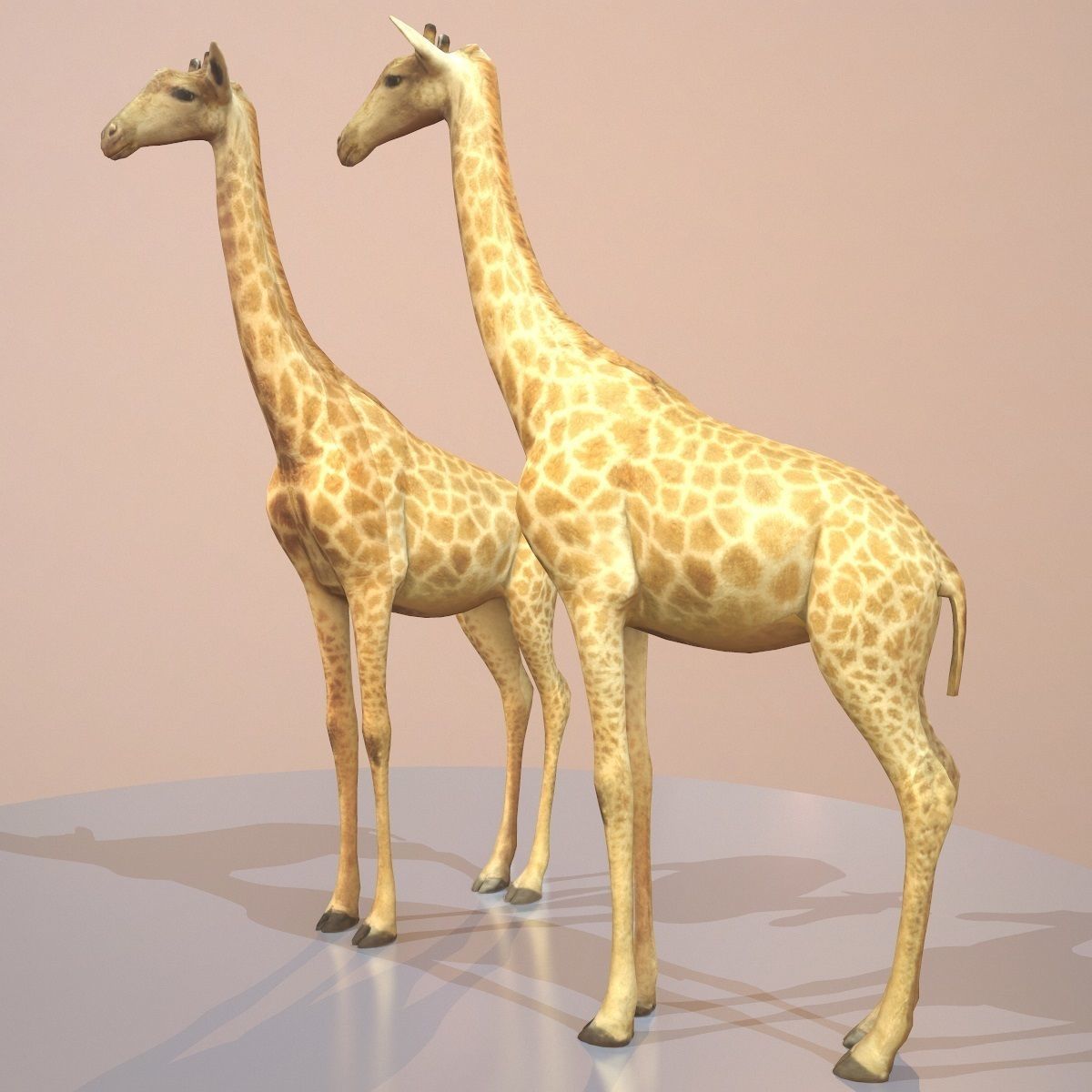 Giraffe Rigged Low-poly 3D model_2