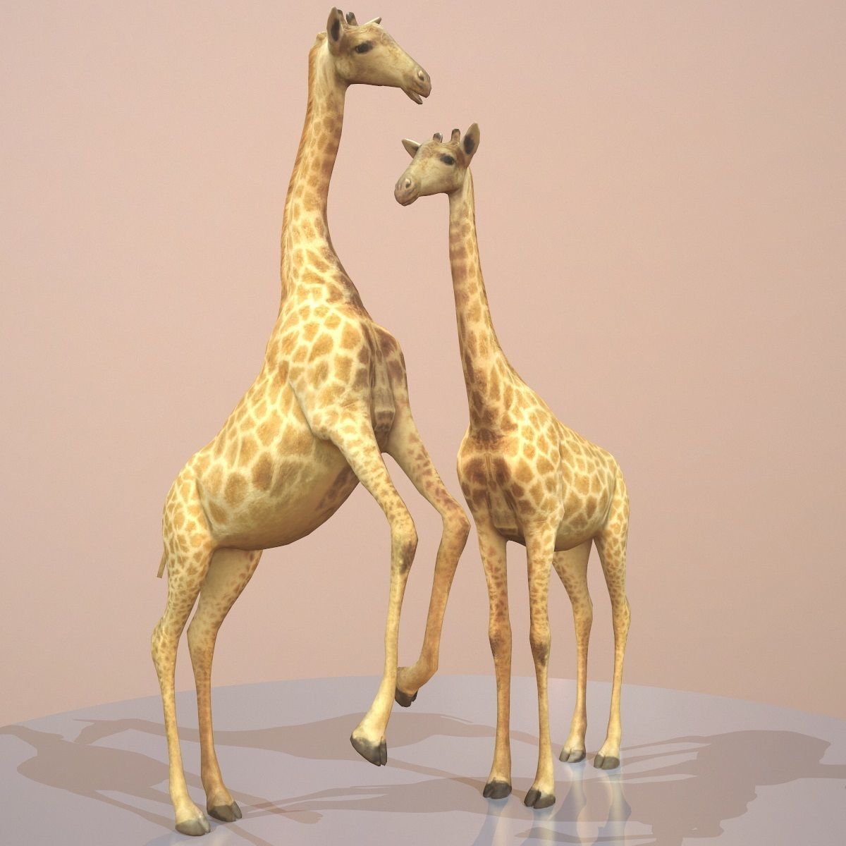 Giraffe Rigged Low-poly 3D model_4