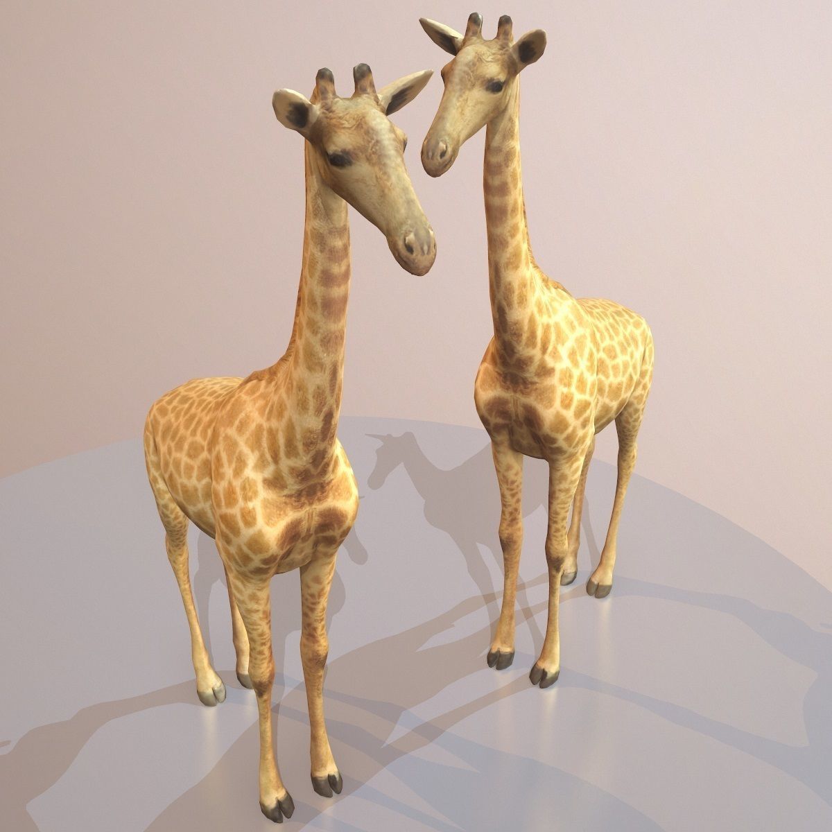 Giraffe Rigged Low-poly 3D model_6