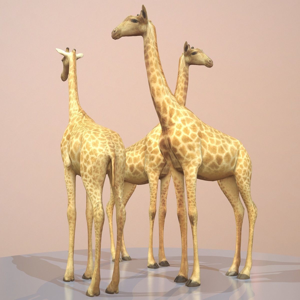 Giraffe Rigged Low-poly 3D model_9