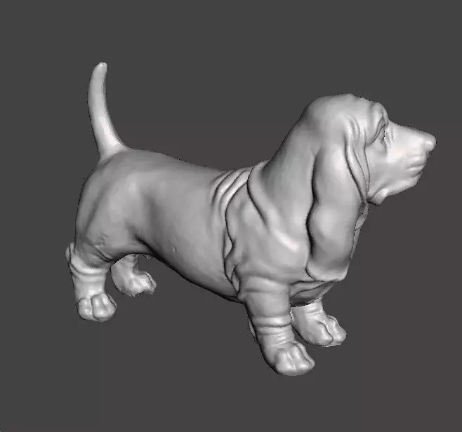 DOG BASSET HOUND STATUE SCULPTURE FIGURE MODEL PET 3D print model_3