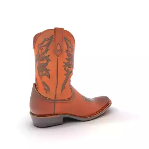 Western Cowboy Boot Detailed Model Pack Low-poly 3D model