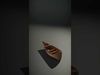 Timeless Wooden Watercraft 3D Model Collection_8