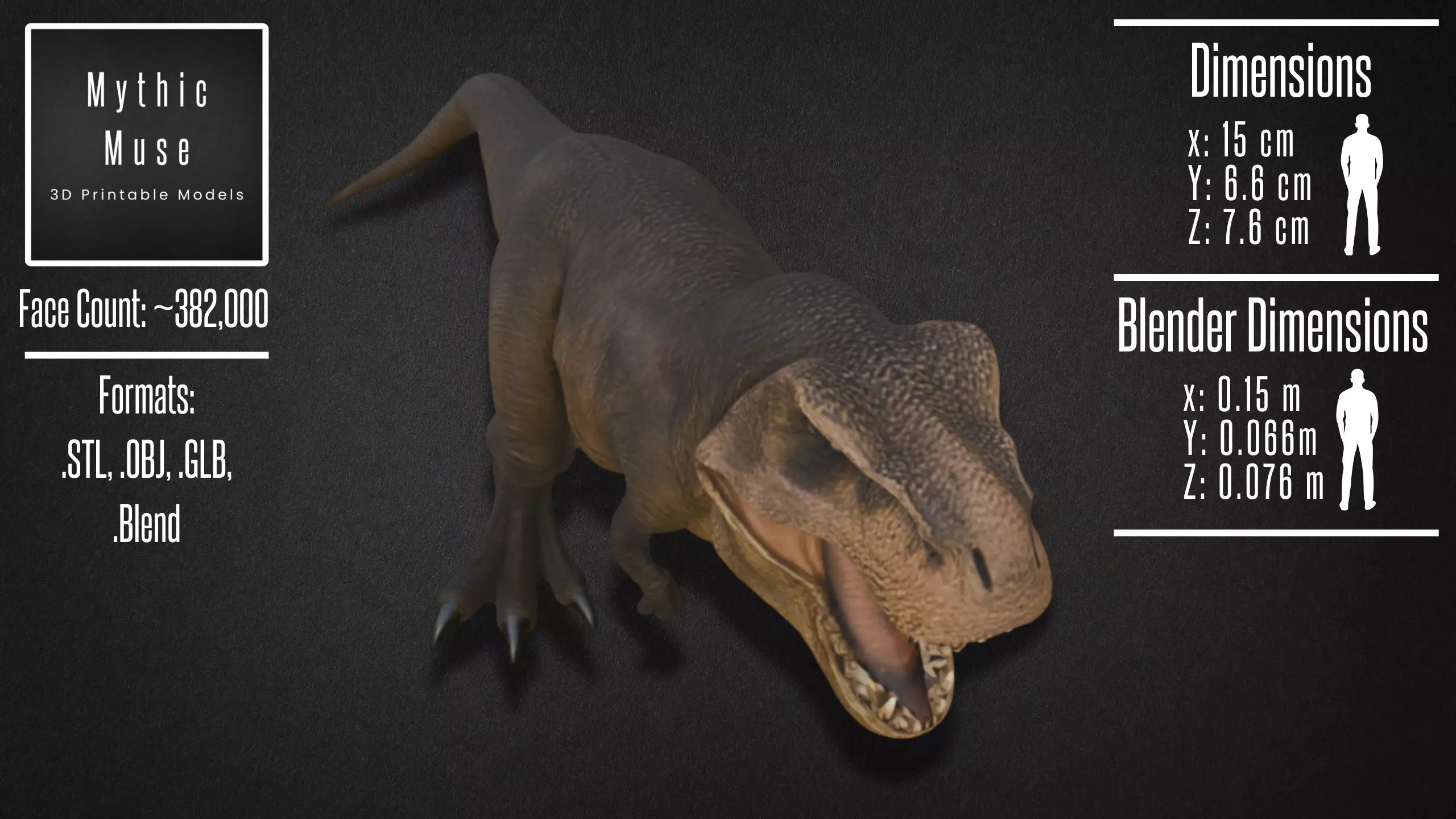 Realistic Tyrannosaurus Rex Model 3D model_5