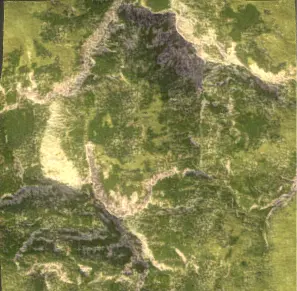 Realistic Sand and Greenery Terrain 3D Model 3D model_2