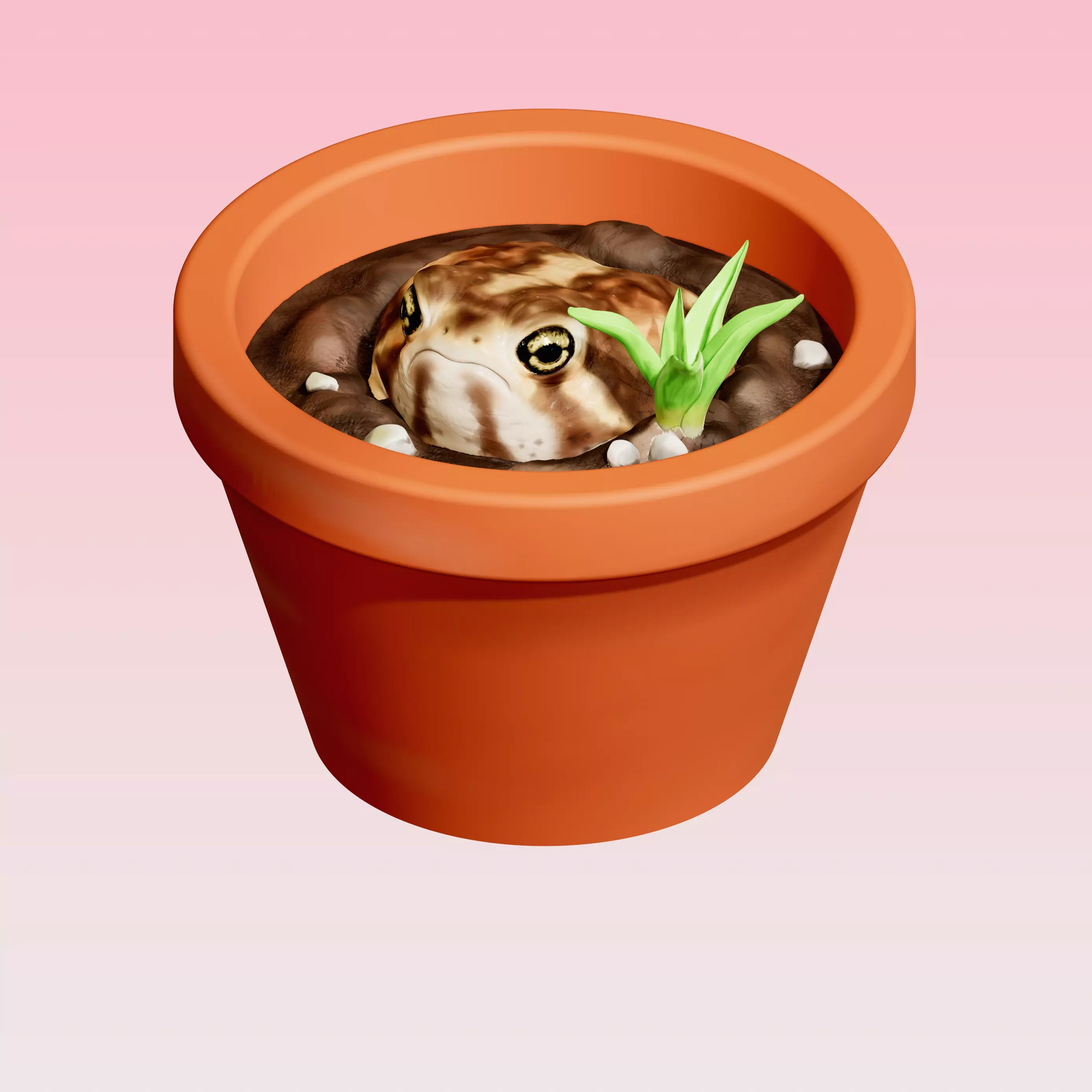 Tiny Storage Pot with Desert Rain Frog 3D print model