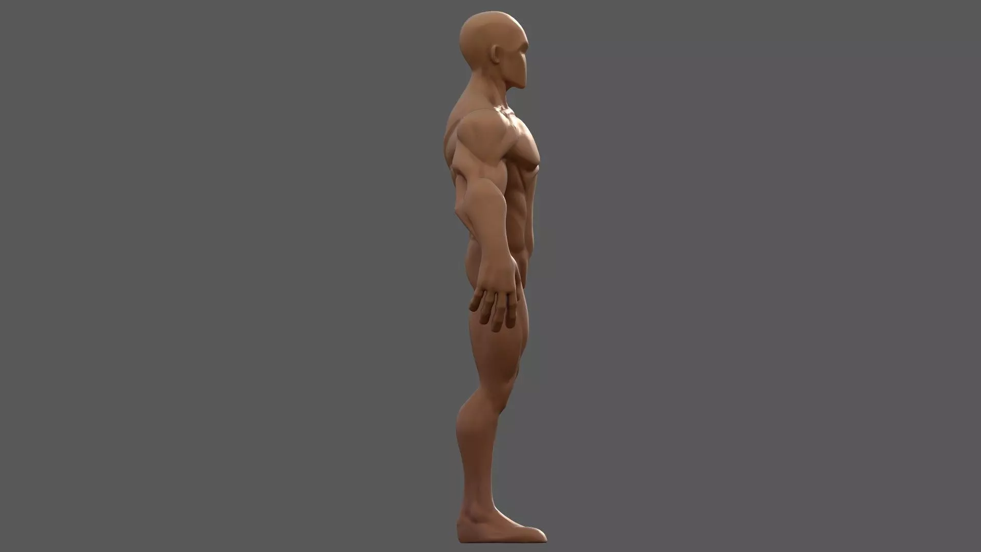 Stylized Male Base Character 3D model_6