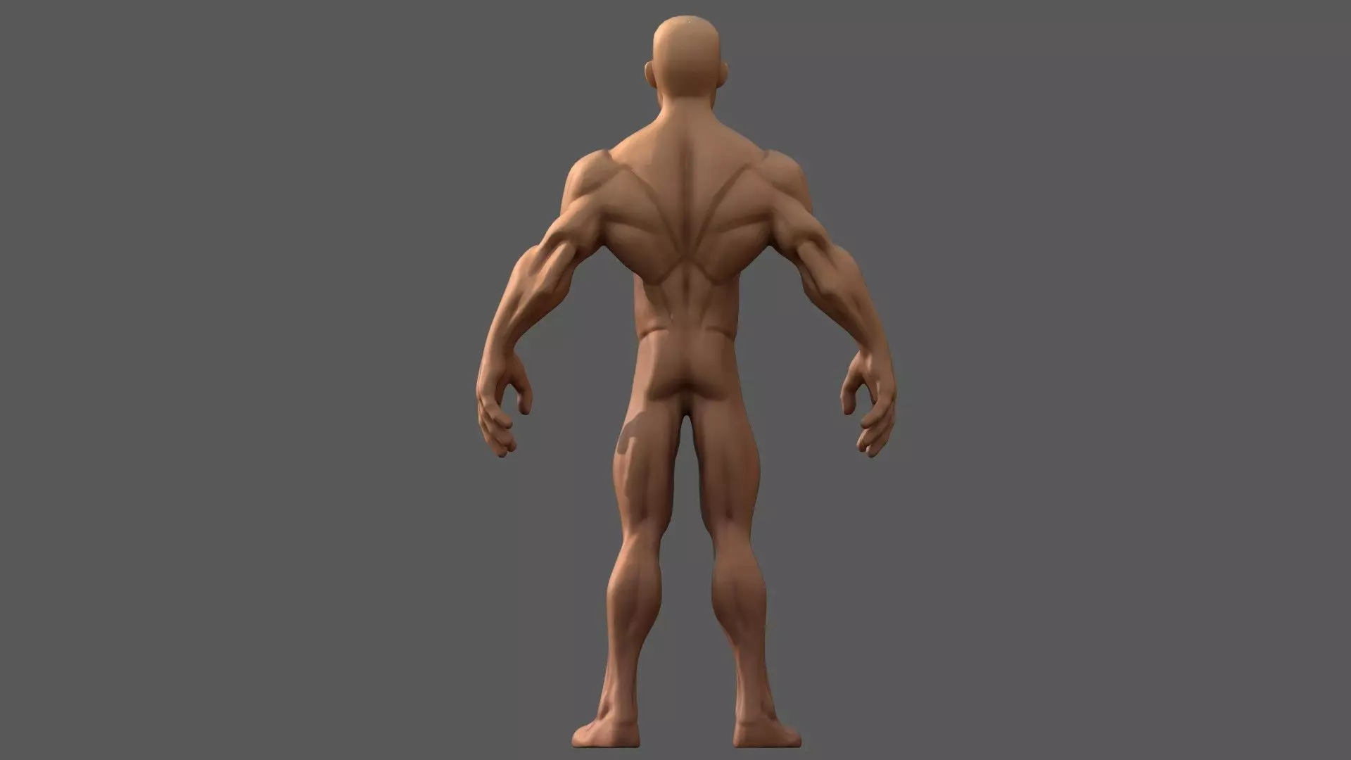 Stylized Male Base Character 3D model_8
