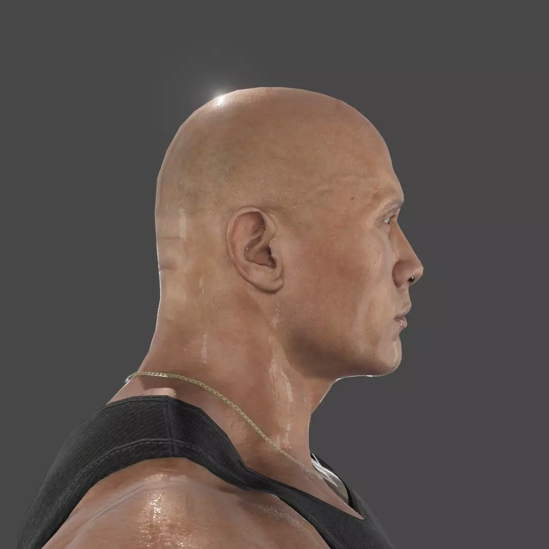 The Rock Parody Low-poly 3D model_6