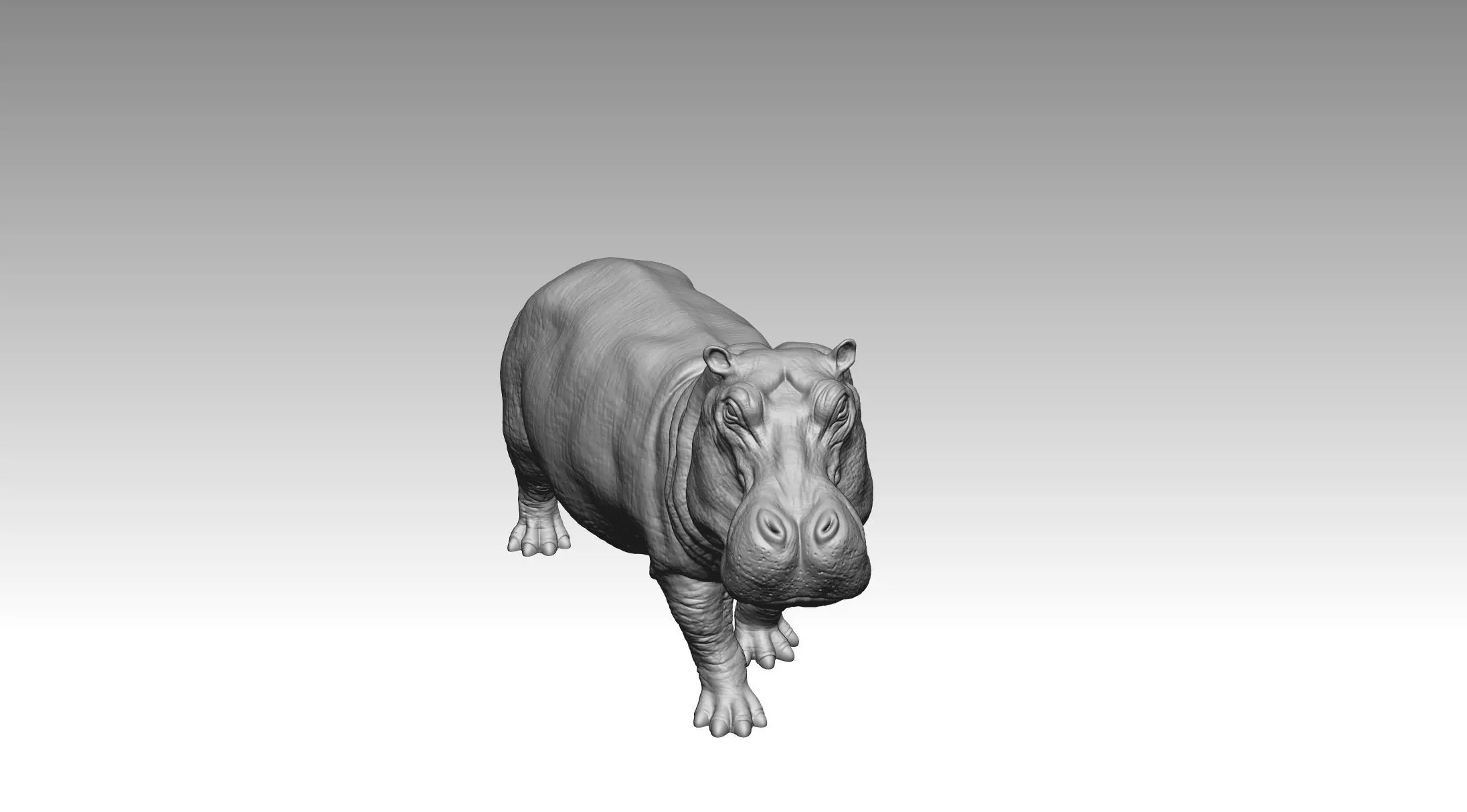 Hippo 3D print model_2