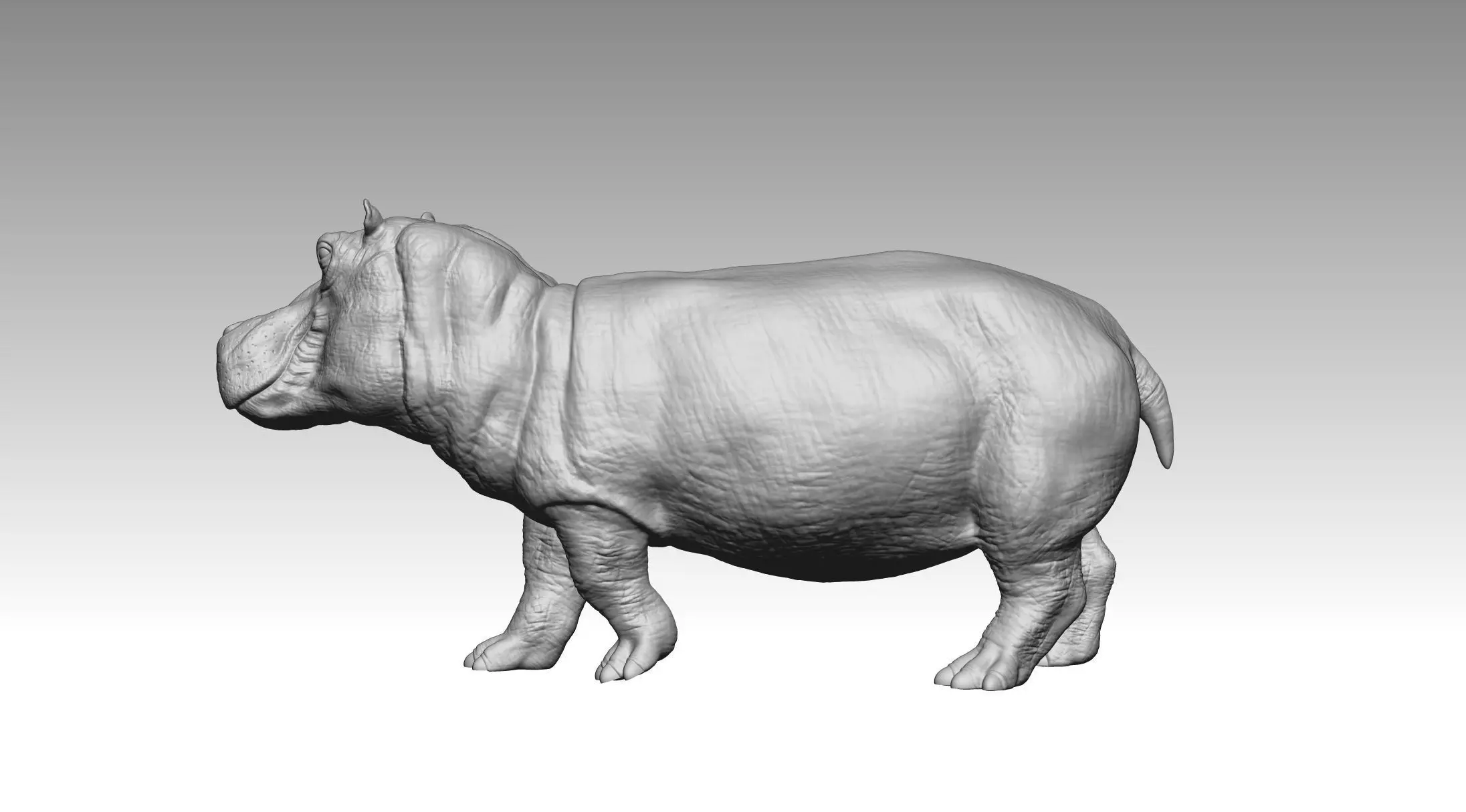 Hippo 3D print model_4