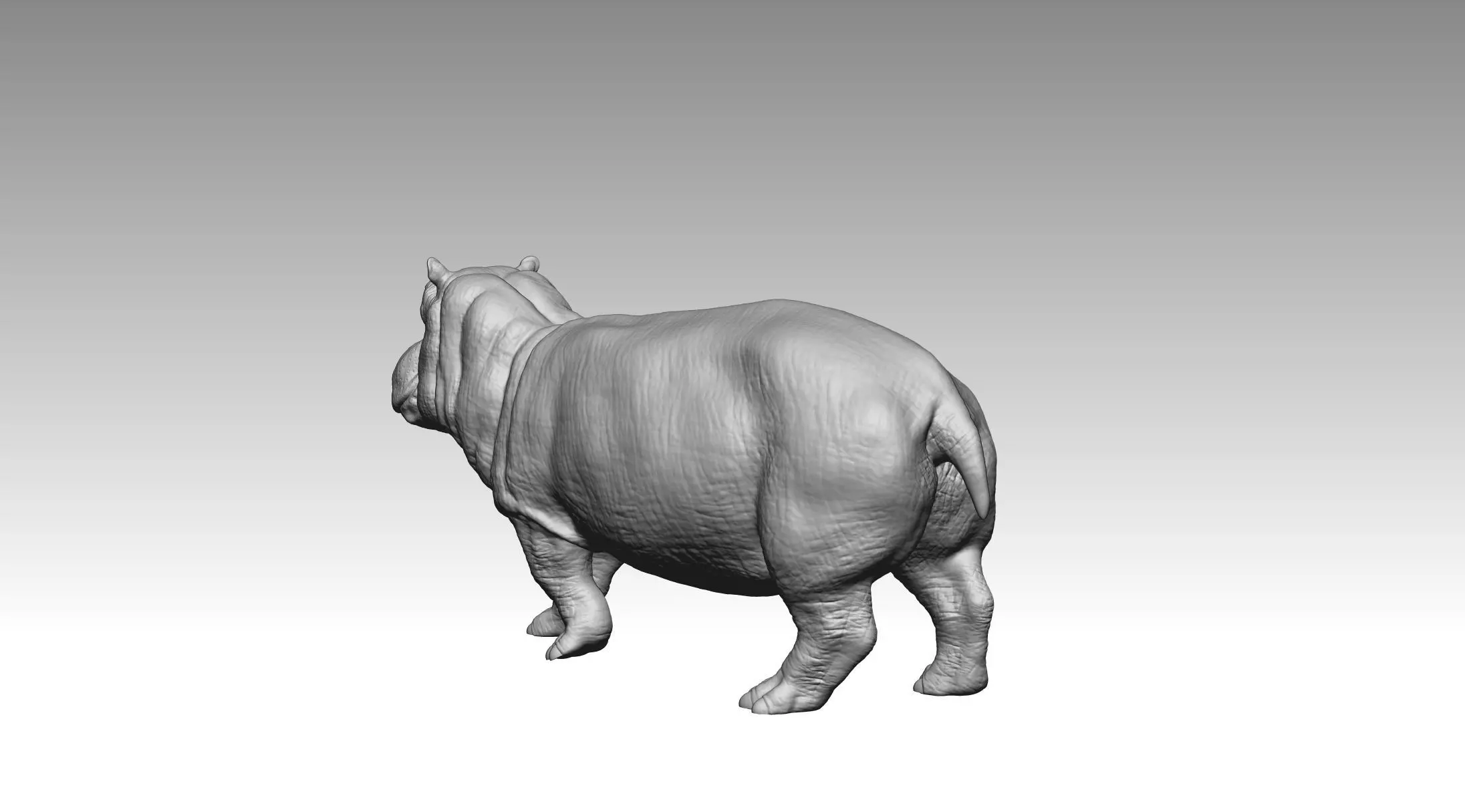Hippo 3D print model_6