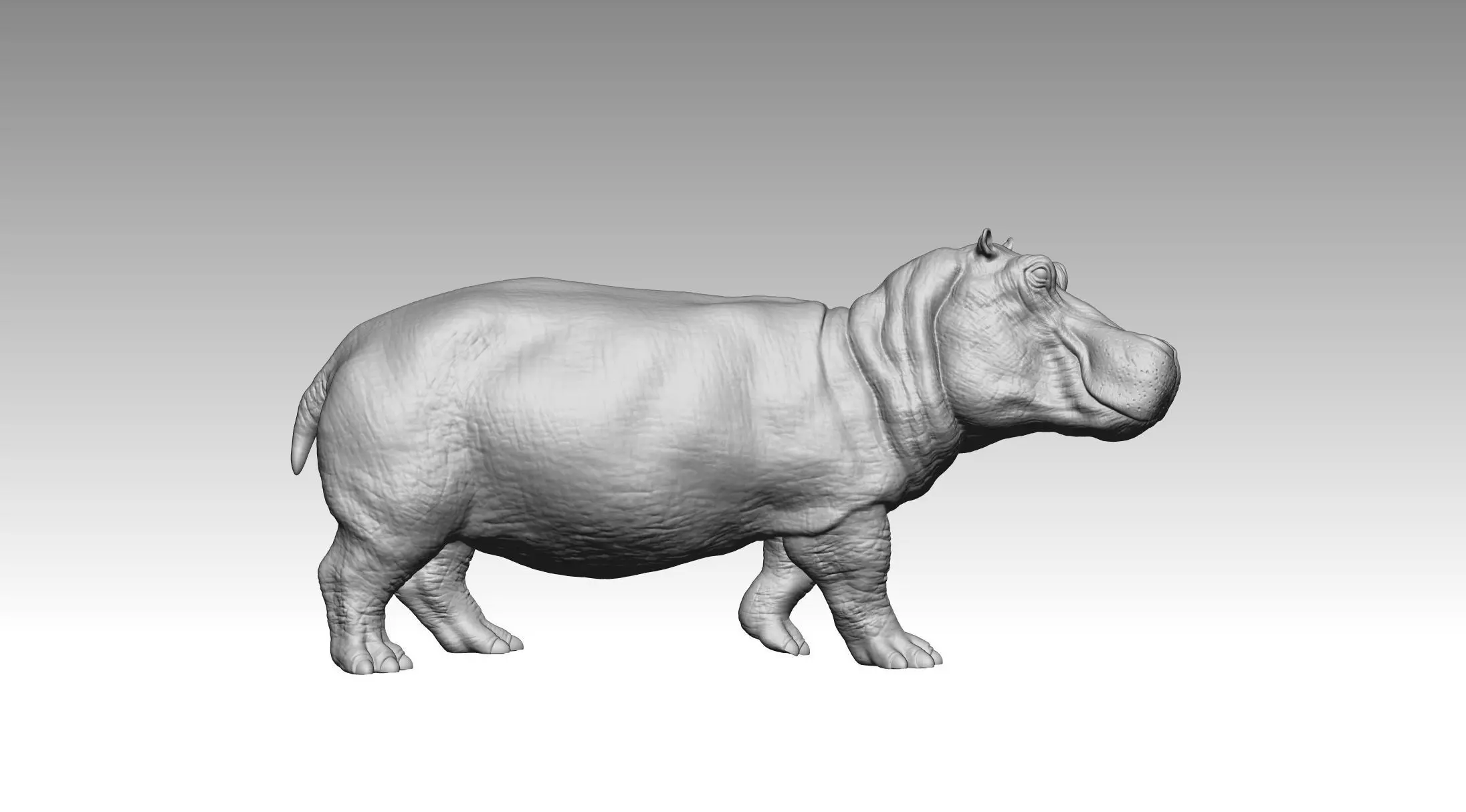 Hippo 3D print model_1