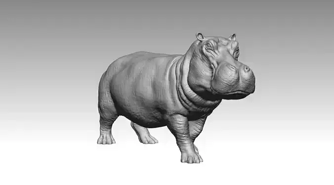 Hippo