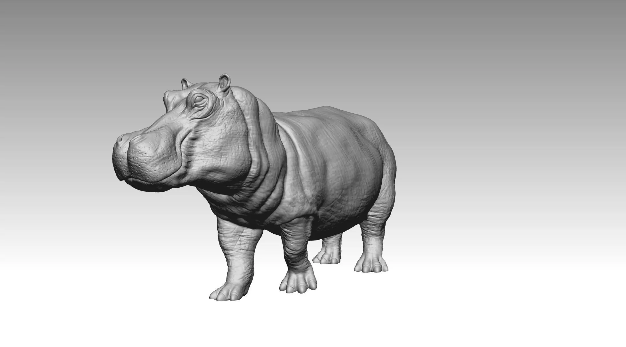 Hippo 3D print model_7