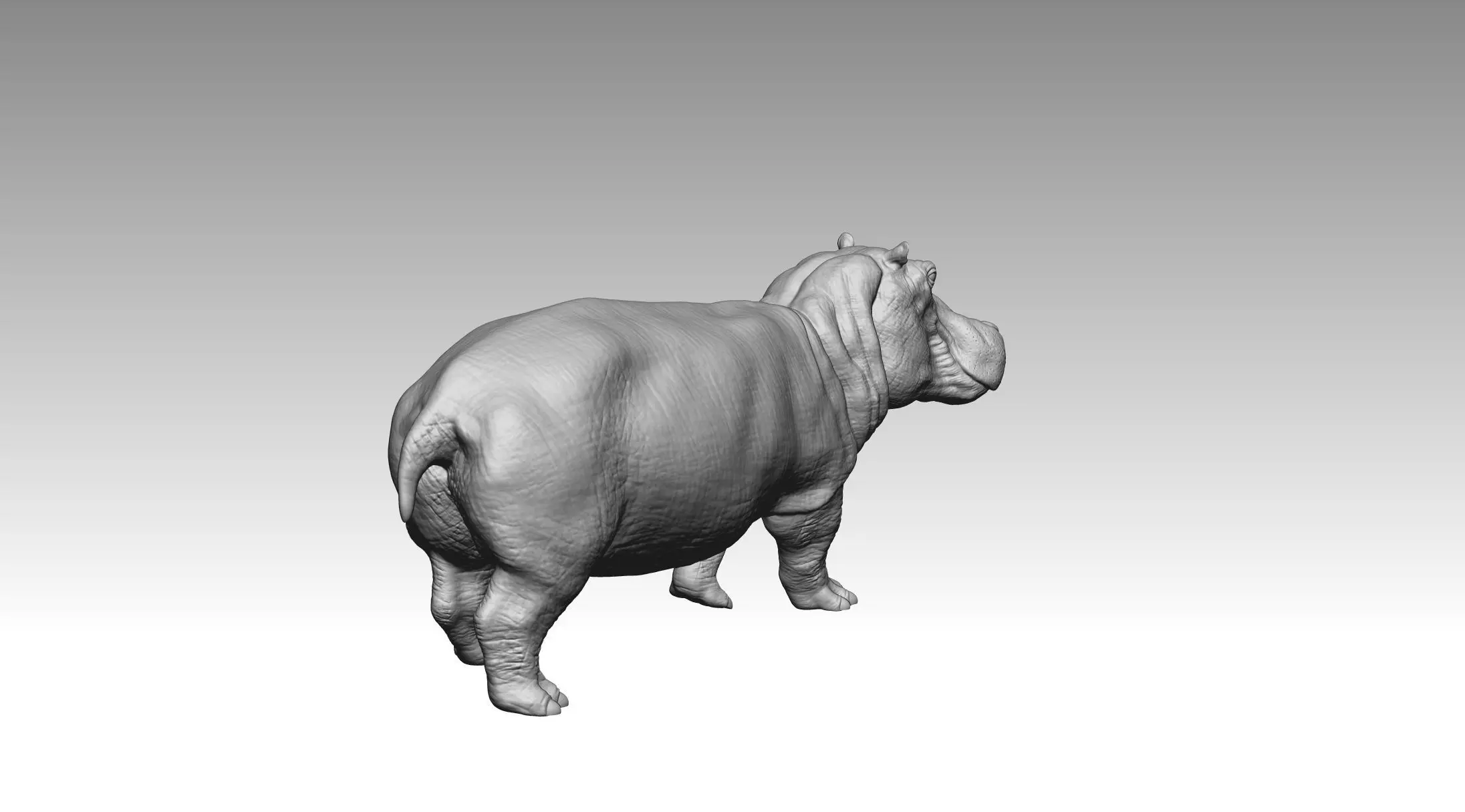 Hippo 3D print model_8