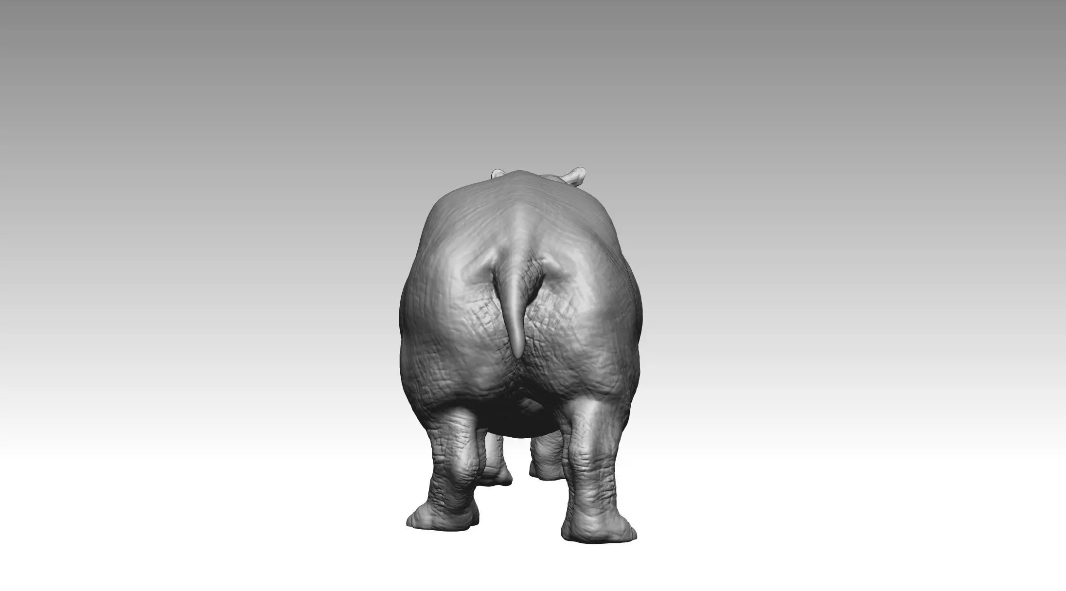 Hippo 3D print model_5