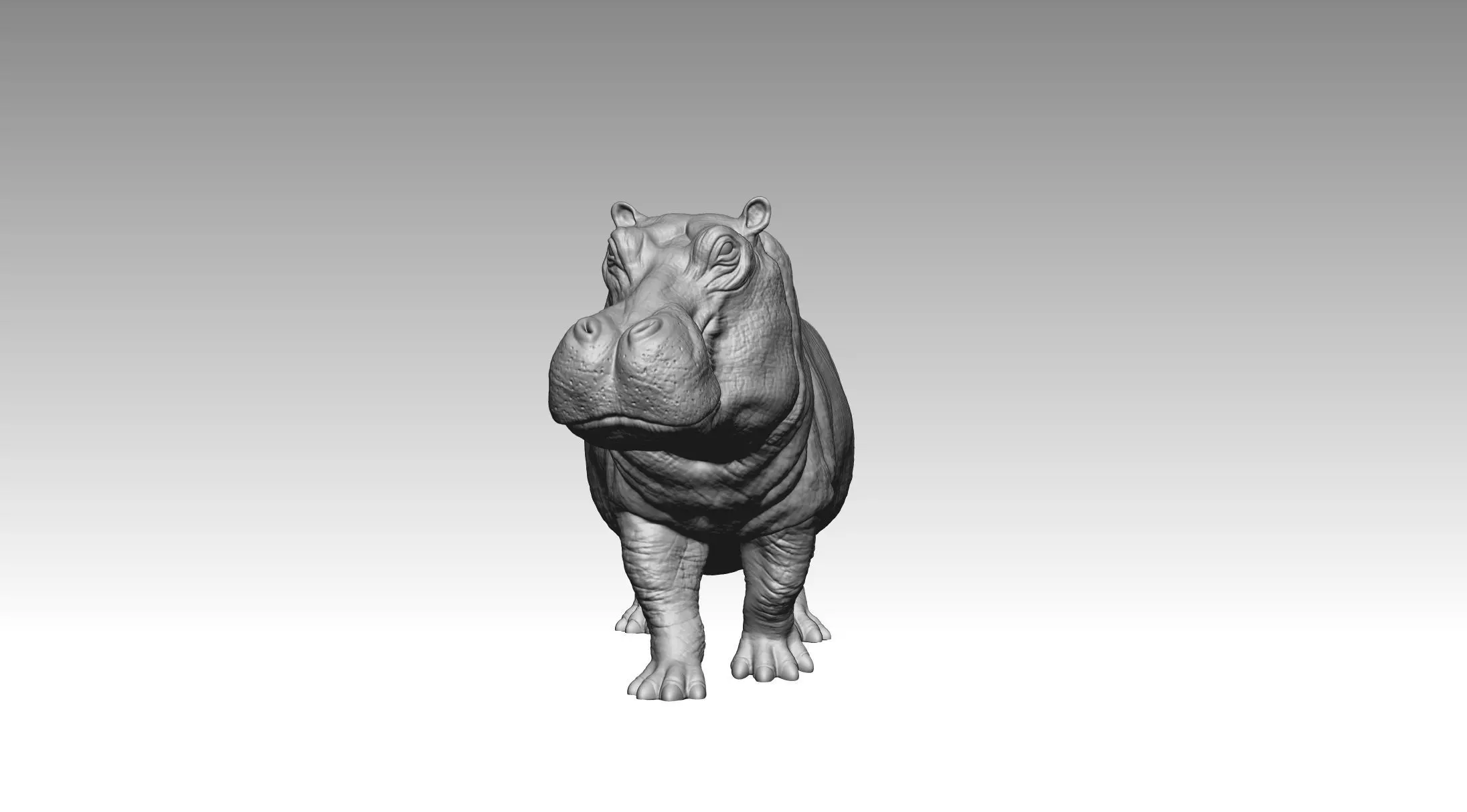Hippo 3D print model_3