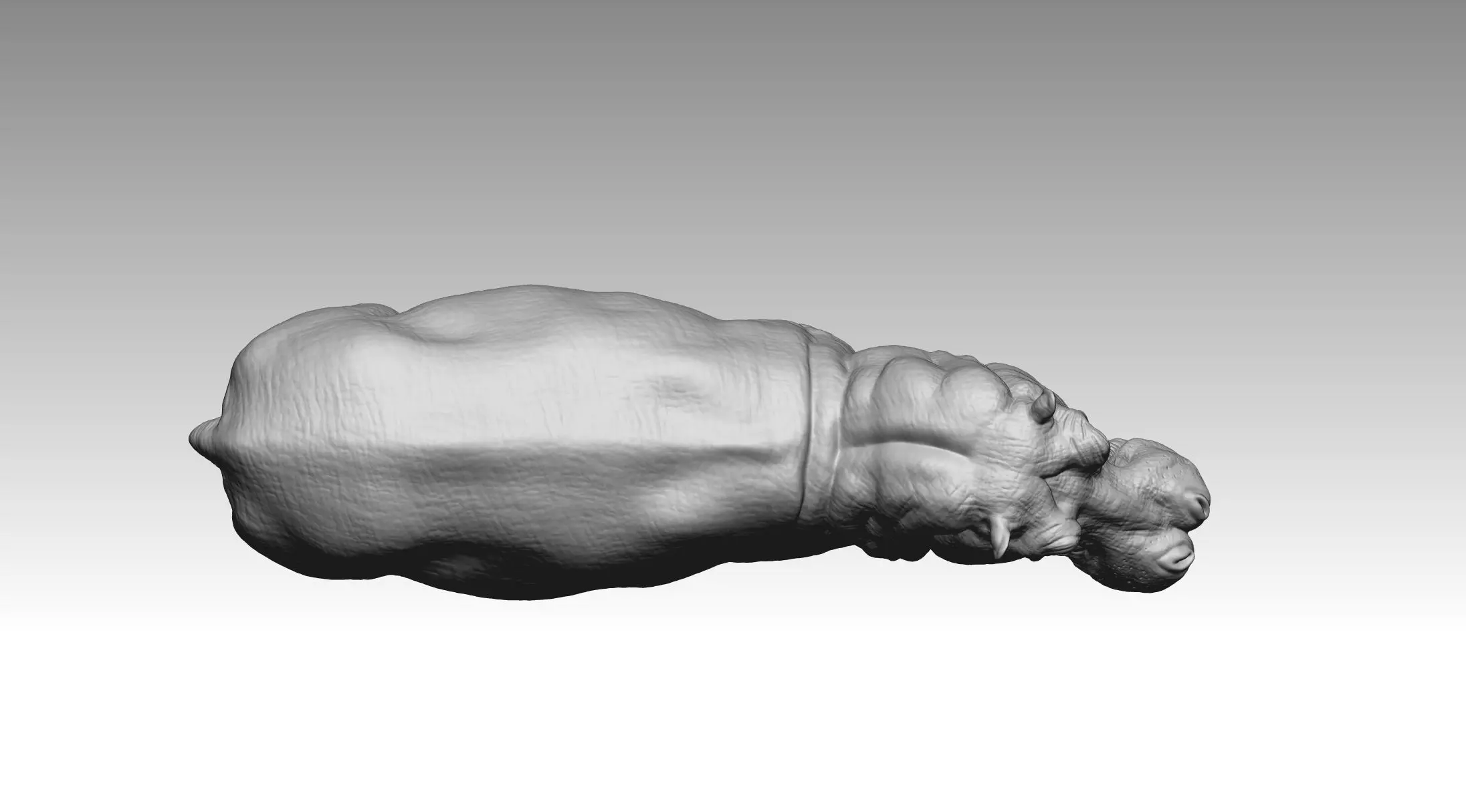 Hippo 3D print model_9