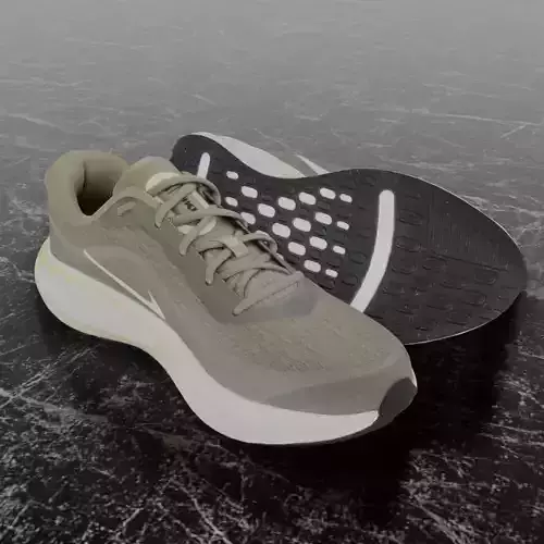 NIKE JOURNEY RUN 3D SHOES Low-poly 3D model