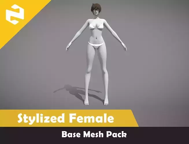 Base Mesh Pack - Stylized Female Rigged Low-poly 3D model