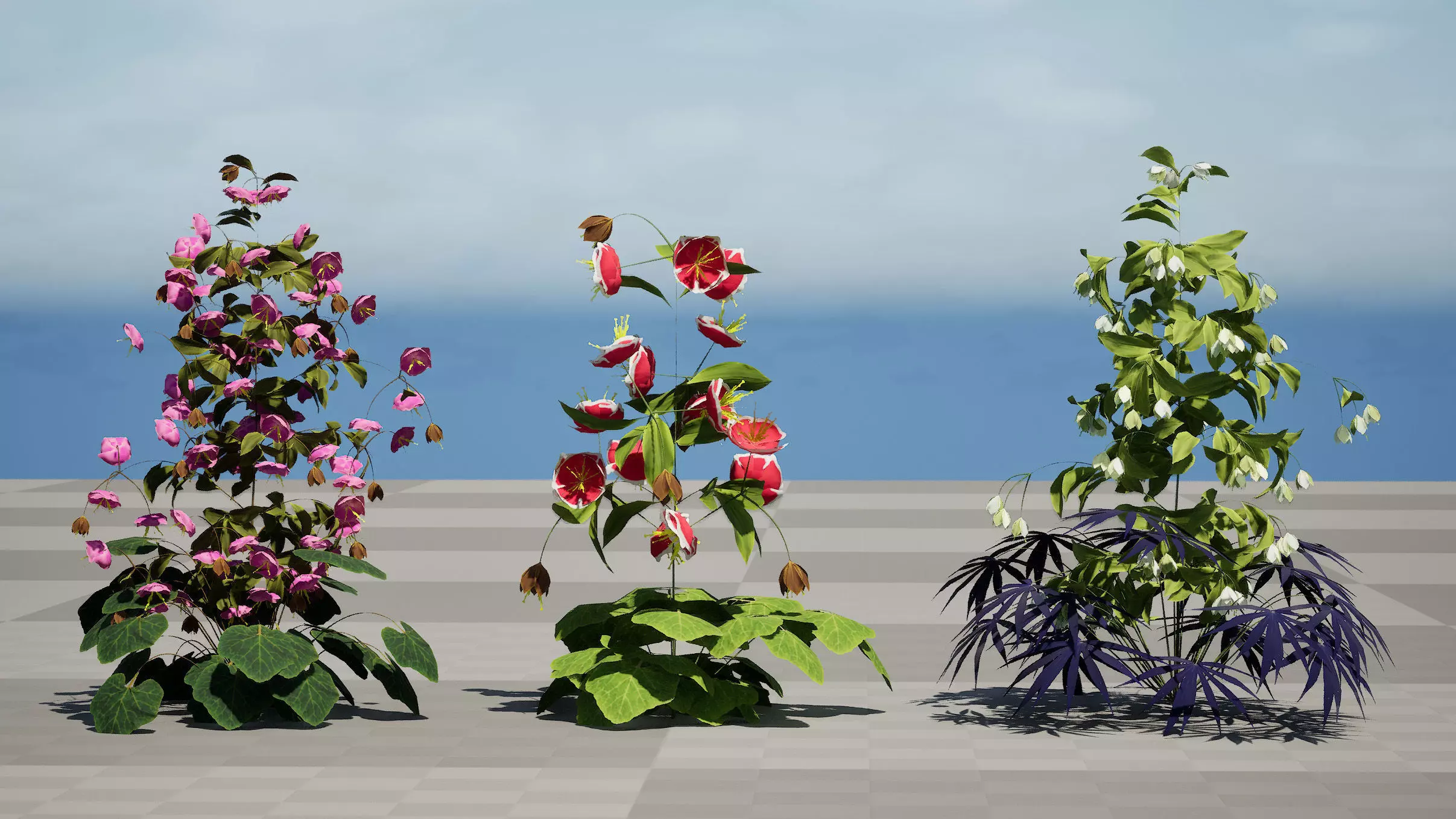 British Hellebores 3D Plant Collection Low-poly 3D model_4